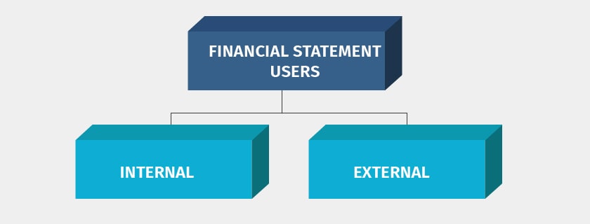 financial statement users