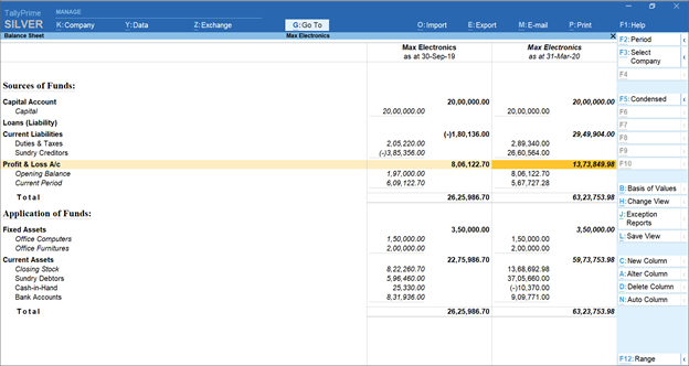 Tally Generated Balance Sheet Gives An Overview Of Finances