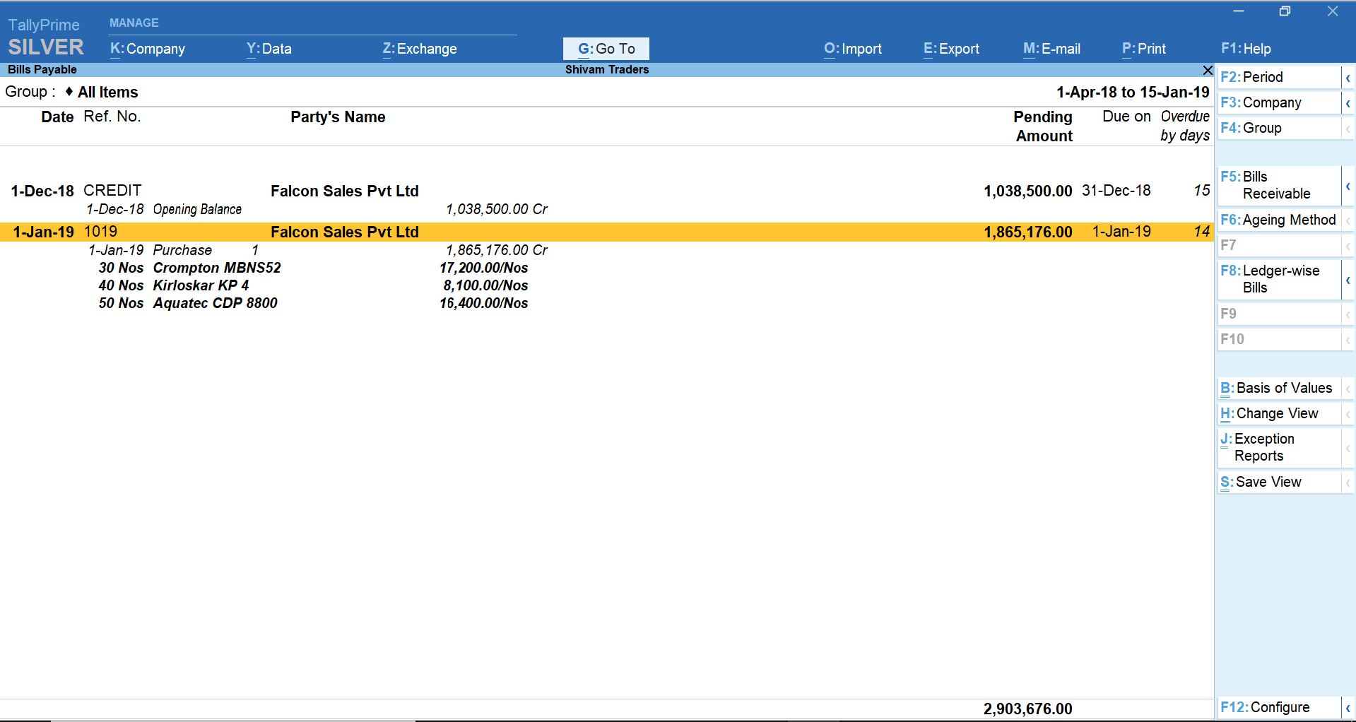 Accounts payables in TallyPrime