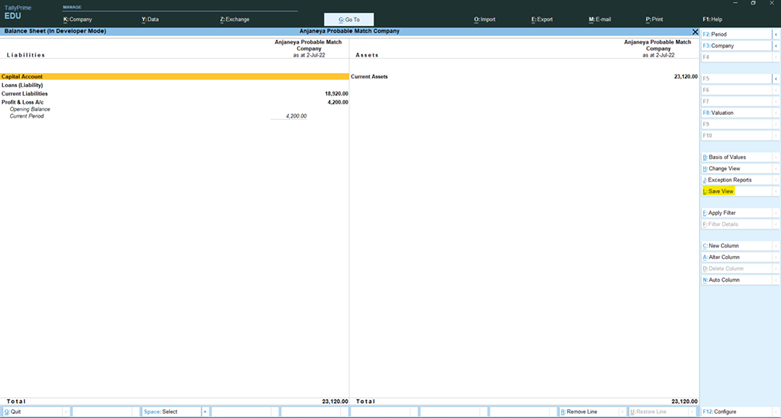 Visual experience of Tally report