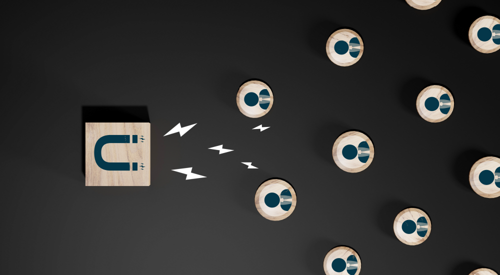 Implementing VoC: From Insight to Impact