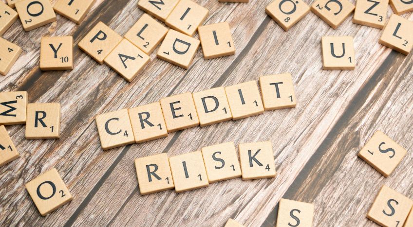 Business Credit Risk Management: How to Protect Your Company from Defaults