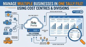 How to Manage Multiple Business Verticals in One Company Using TallyPrime: Cost Centres, Divisions and Reporting